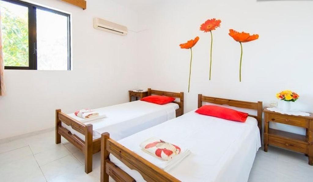 Evi Apartments And Studios Theologos  Phòng bức ảnh